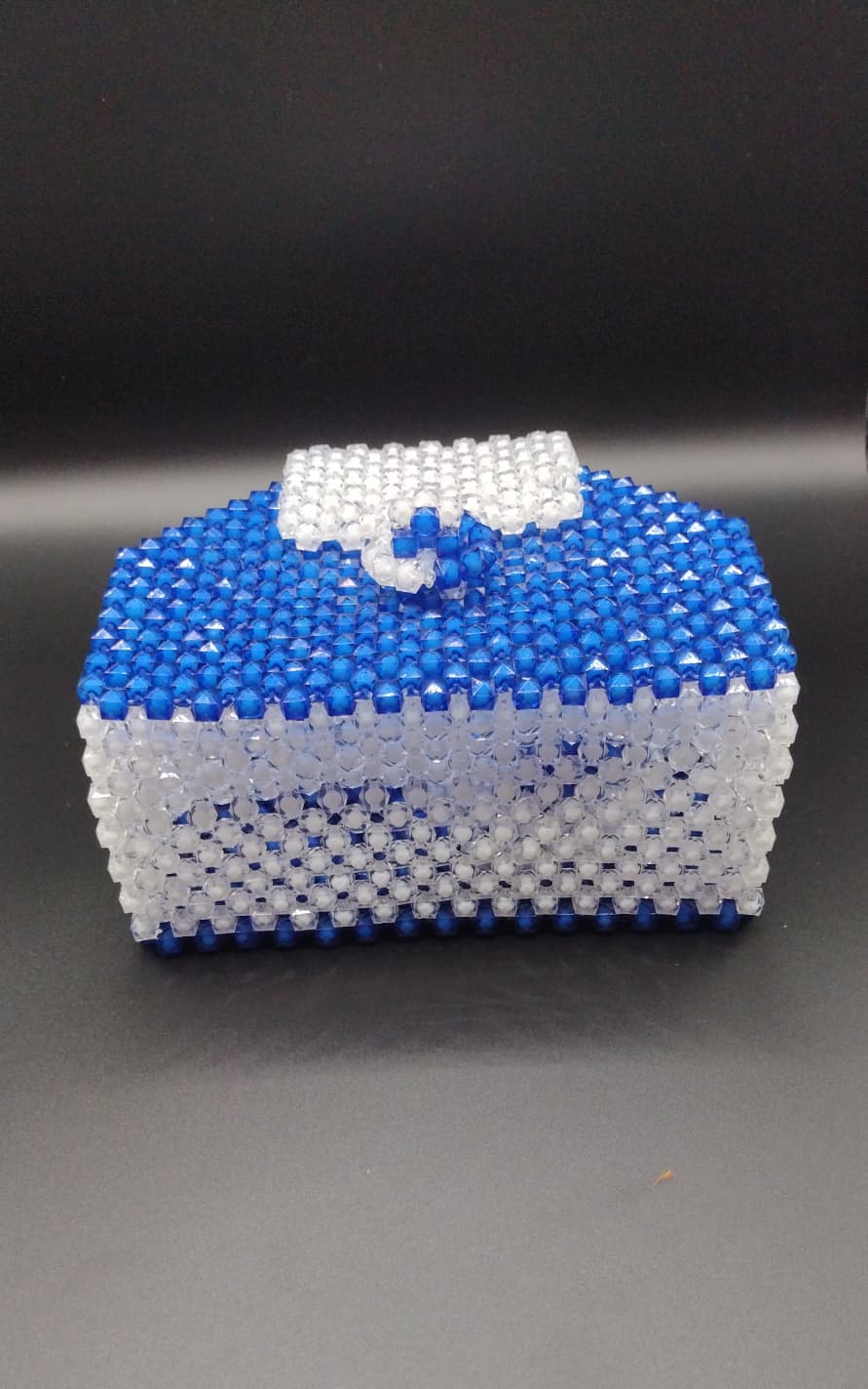 WhatsApp Image 2025-10-02 at 13.08.25 (4) China Market Cepot Custom made dinning room tissue holder